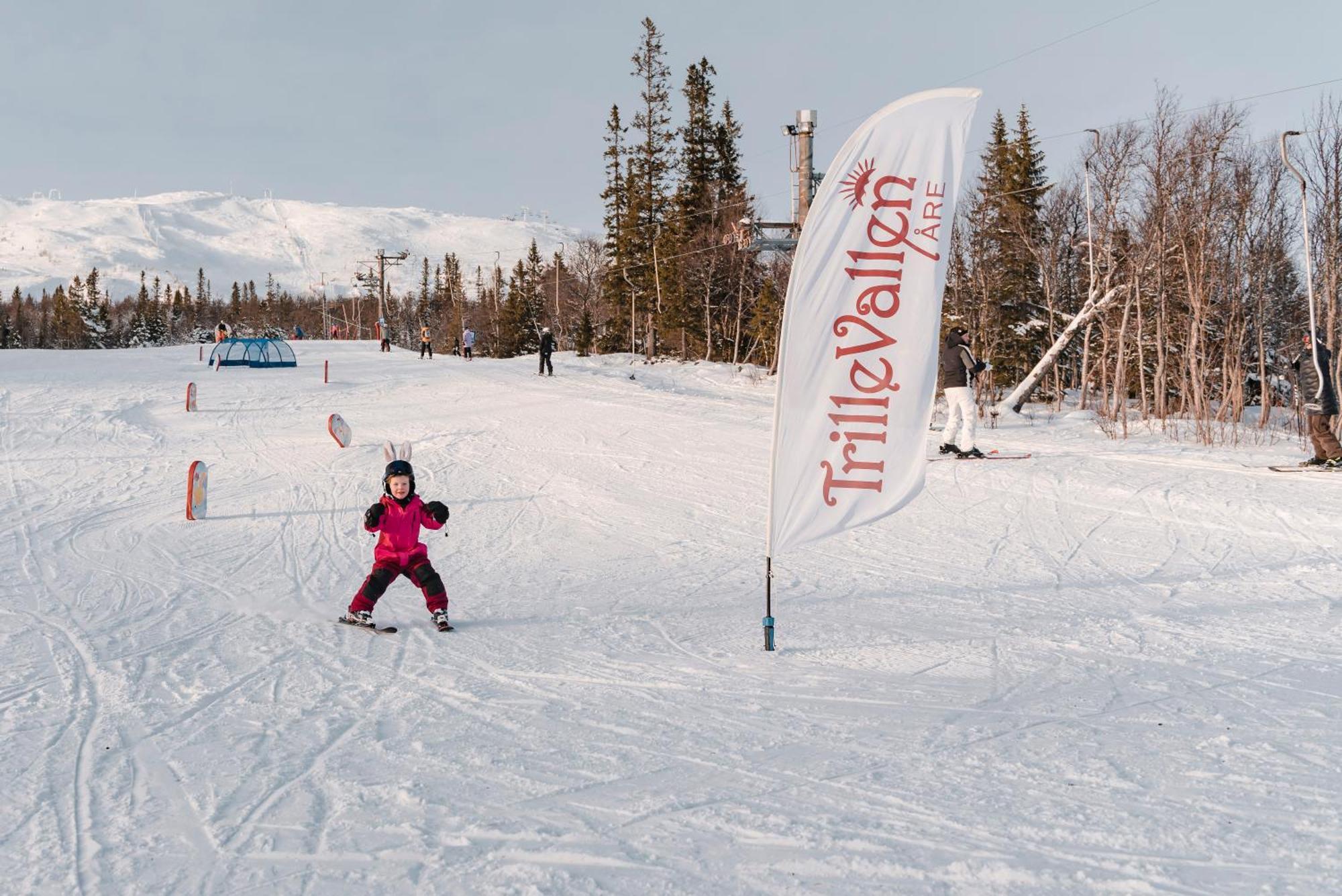 Trillevallens Hoegfjaellshotell & Laegenheter 3*
